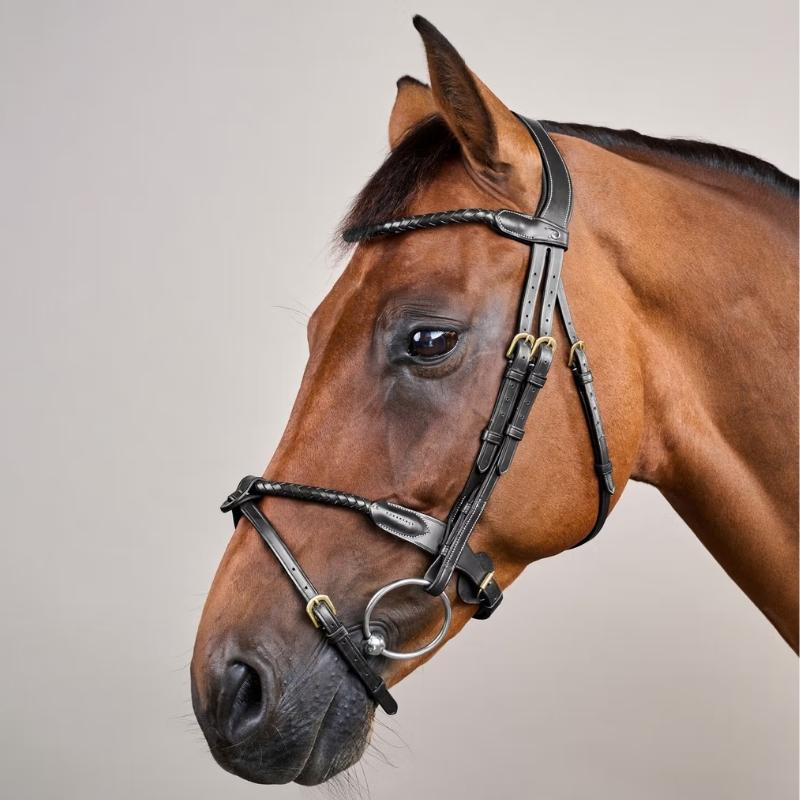 Flash Noseband Bridle Braided Dyon Collection Black