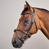 Flash Noseband Bridle Braided Dyon Collection Black Flash Noseband Bridle Braided Dyon Collection Black