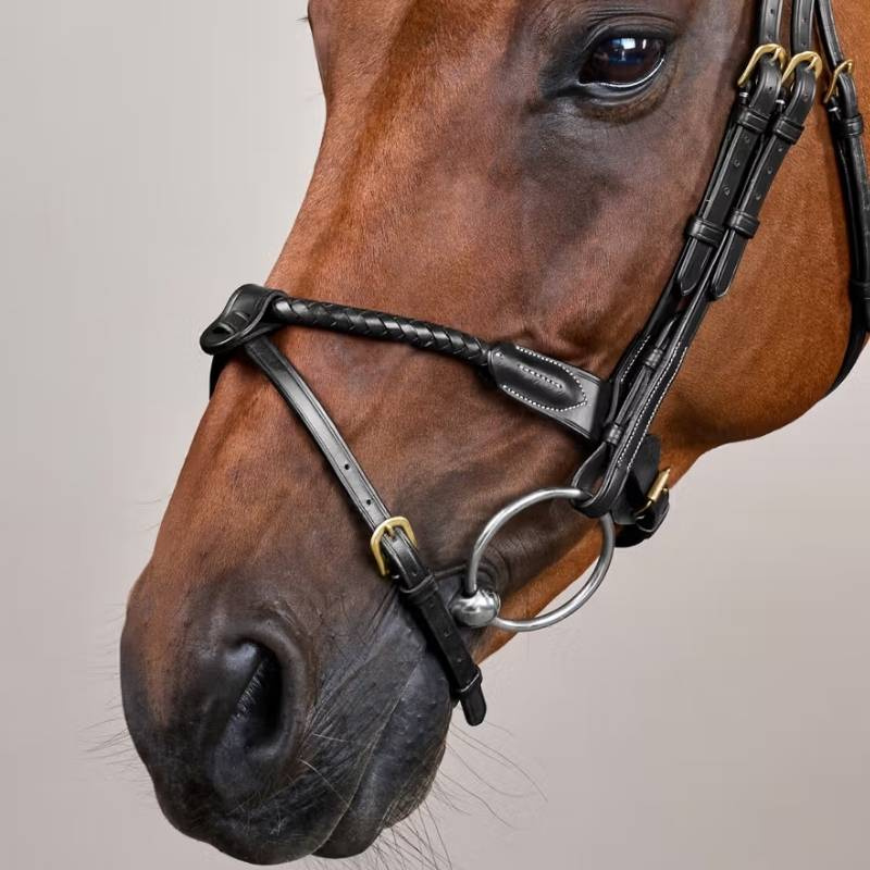Flash Noseband Bridle Braided Dyon Collection Black