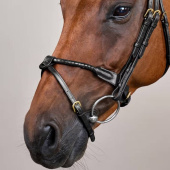 Flash Noseband Bridle Braided Dyon Collection Black Flash Noseband Bridle Braided Dyon Collection Black