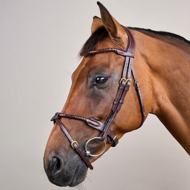 Flash Noseband Bridle Braided Dyon Collection Brown