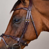 Flash Noseband Bridle Braided Dyon Collection Brown Flash Noseband Bridle Braided Dyon Collection Brown