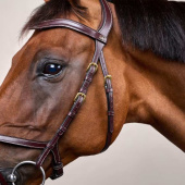 X-Fit Anatomical Bridle DC Brown X-Fit Anatomical Bridle DC Brown