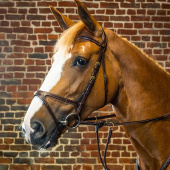 X-Fit Anatomical Bridle DC Brown X-Fit Anatomical Bridle DC Brown