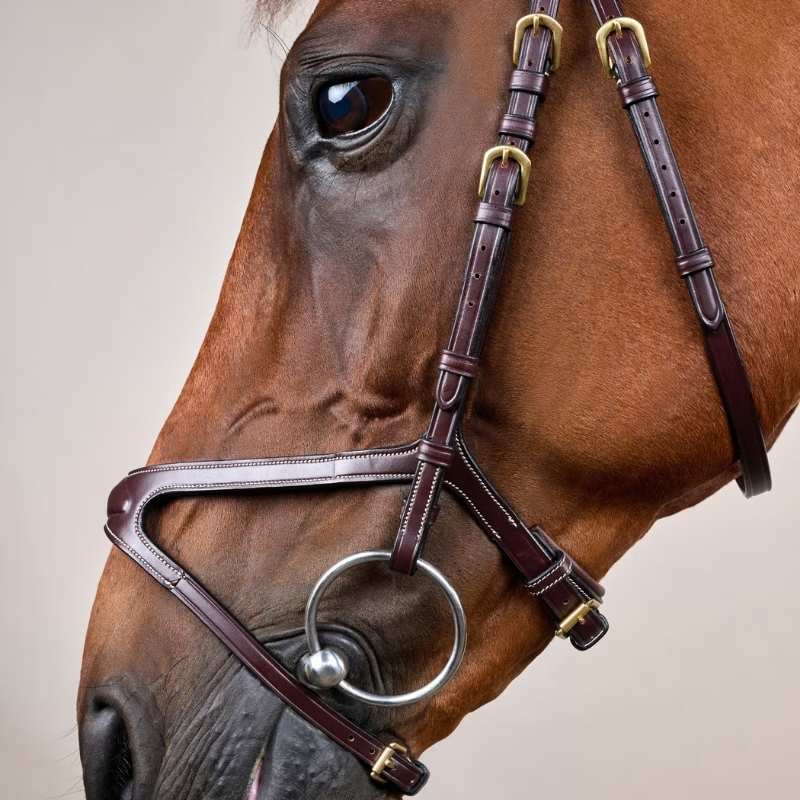 X-Fit Anatomical Bridle DC Brown