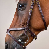 X-Fit Anatomical Bridle DC Brown X-Fit Anatomical Bridle DC Brown