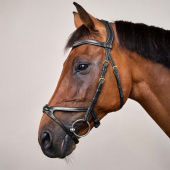 X-Fit Anatomical Bridle DC Black X-Fit Anatomical Bridle DC Black