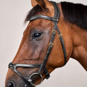 X-Fit Anatomical Bridle Dyon Collection Black X-Fit Anatomical Bridle Dyon Collection Black