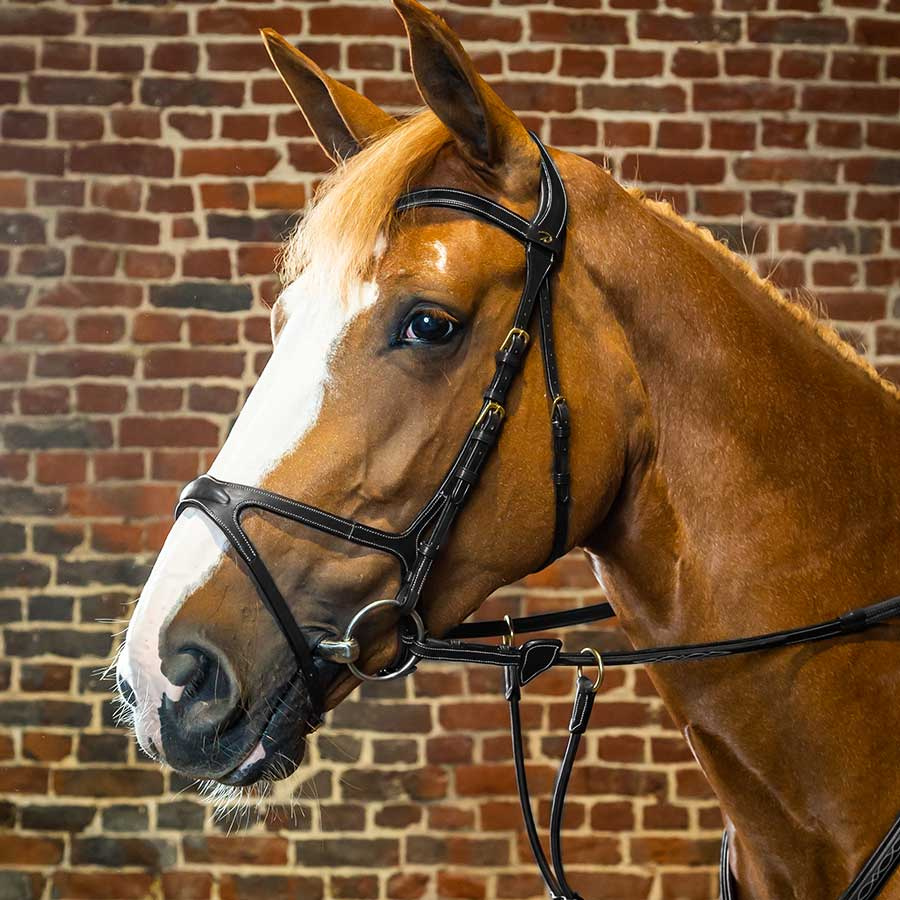 X-Fit Anatomical Bridle DC Black