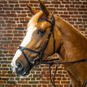 X-Fit Anatomical Bridle DC Black X-Fit Anatomical Bridle DC Black