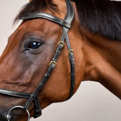 X-Fit Anatomical Bridle DC Black X-Fit Anatomical Bridle DC Black