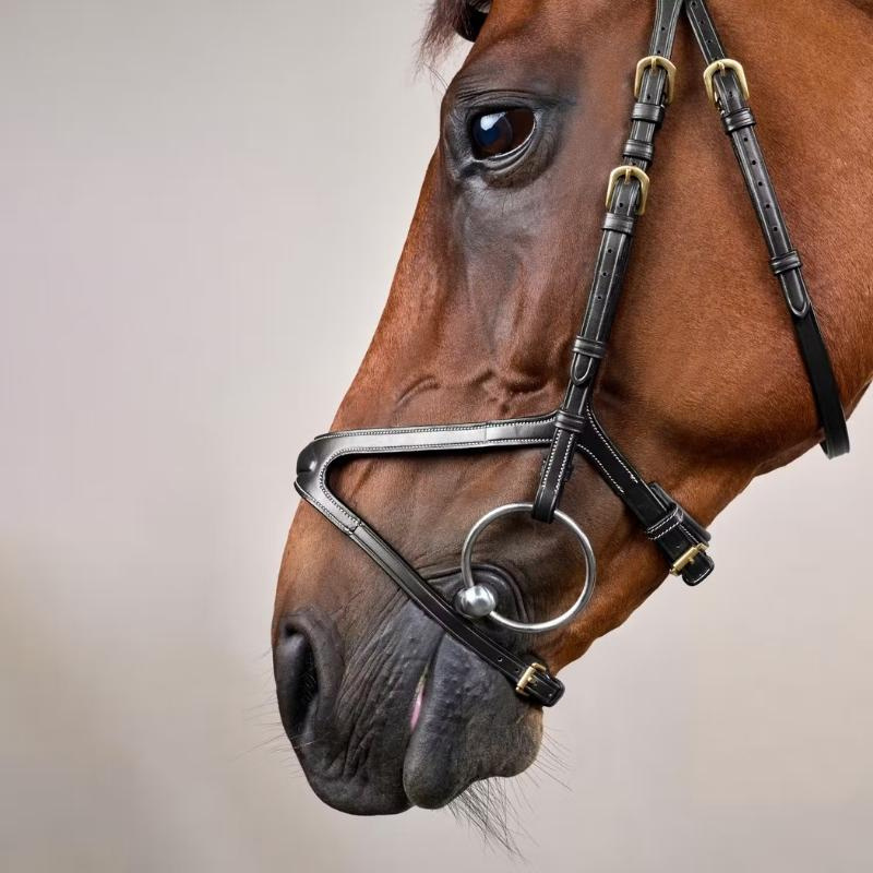 X-Fit Anatomical Bridle DC Black