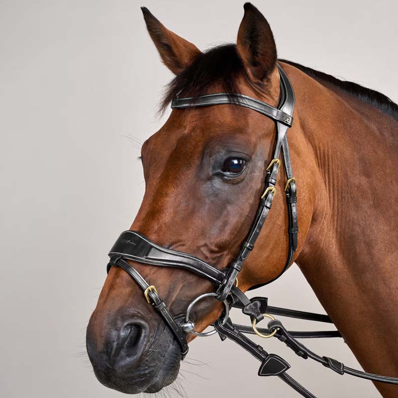 Bridle D Motion Dyon Collection Black