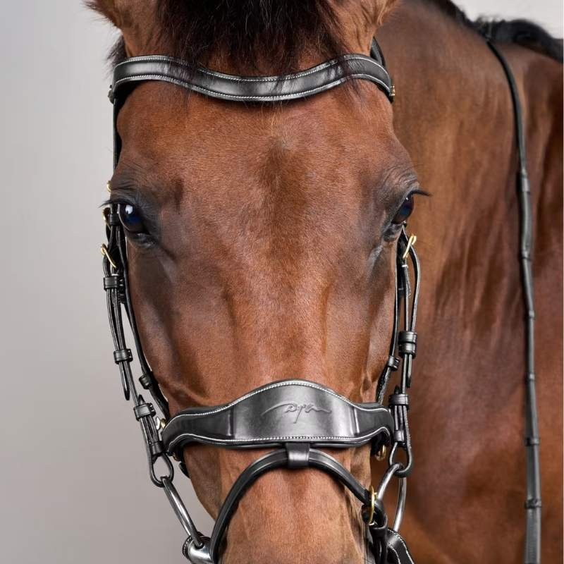 Bridle D Motion Dyon Collection Black