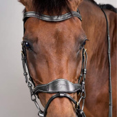 Bridle D Motion Dyon Collection Black Bridle D Motion Dyon Collection Black