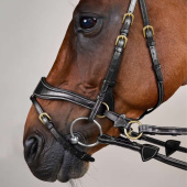 Bridle D Motion Dyon Collection Black Bridle D Motion Dyon Collection Black
