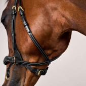 Bridle D Motion Dyon Collection Black Bridle D Motion Dyon Collection Black