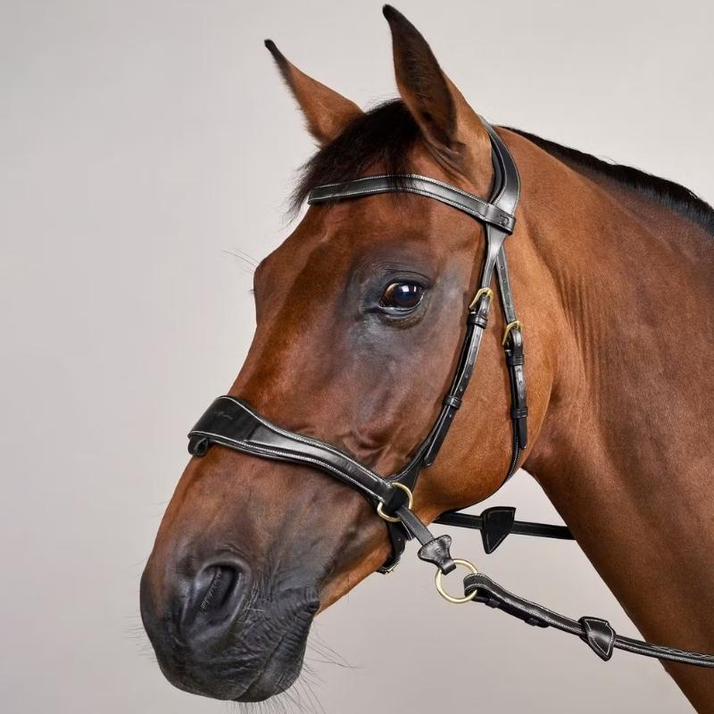 Bridle D Motion Dyon Collection Black