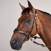 Bridle D Motion Dyon Collection Black Bridle D Motion Dyon Collection Black