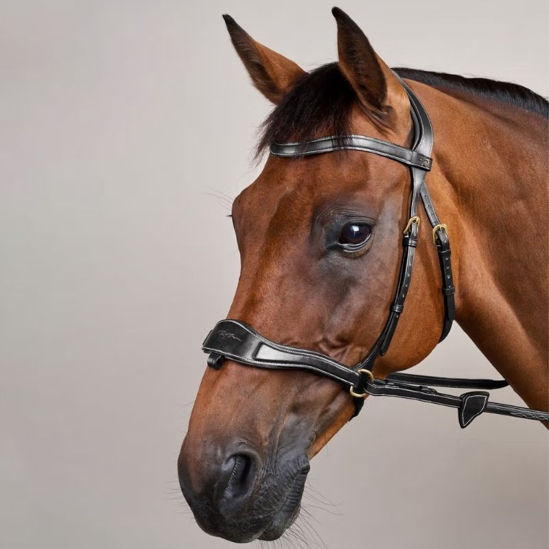 Bridle D Motion Dyon Collection Black