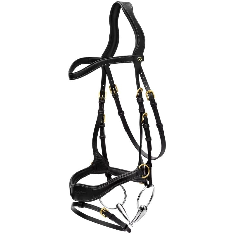 Bridle D Motion Dyon Collection Black