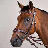 Bridle D Motion Dyon Collection Brown Bridle D Motion Dyon Collection Brown