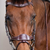 Bridle D Motion Dyon Collection Brown Bridle D Motion Dyon Collection Brown