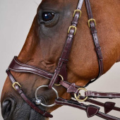Bridle D Motion Dyon Collection Brown Bridle D Motion Dyon Collection Brown