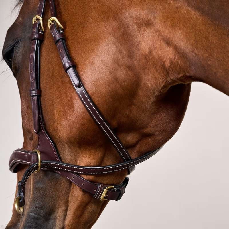 Bridle D Motion Dyon Collection Brown
