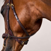 Bridle D Motion Dyon Collection Brown Bridle D Motion Dyon Collection Brown