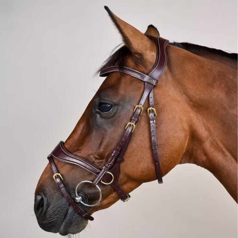 Bridle D Motion Dyon Collection Brown