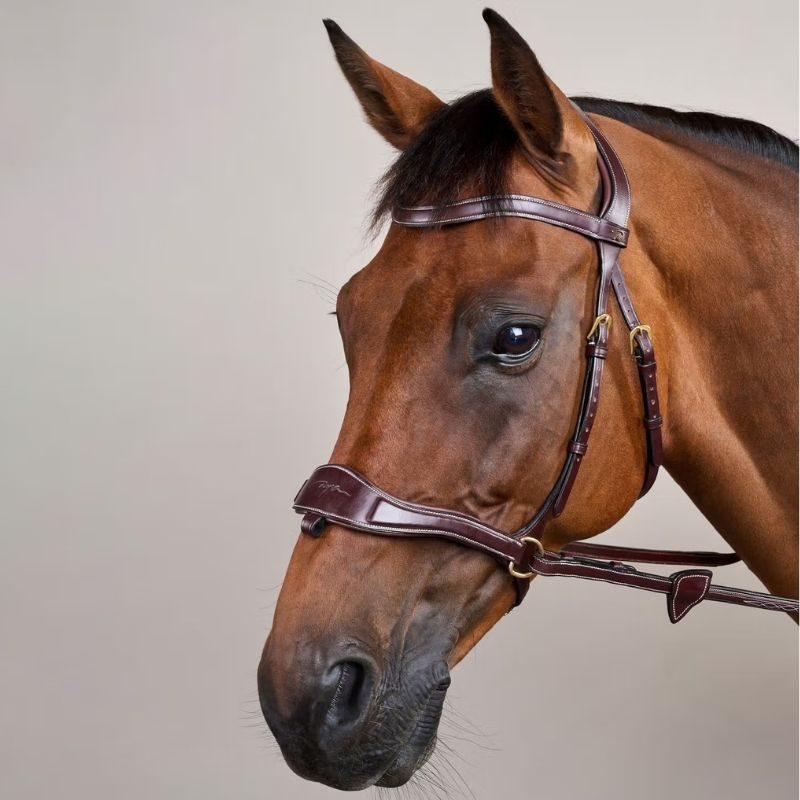 Bridle D Motion Dyon Collection Brown