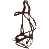 Bridle D Motion Dyon Collection Brown Bridle D Motion Dyon Collection Brown