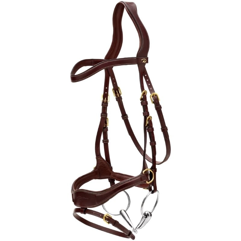 Bridle D Motion Dyon Collection Brown