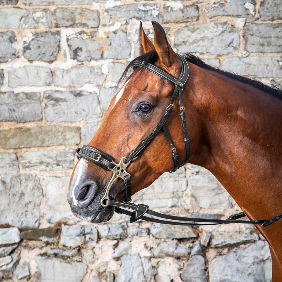 Bridle Hackamore DC Black