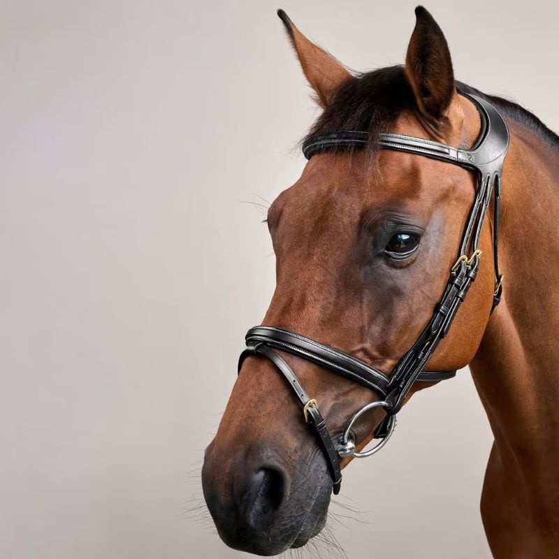 Bridle Difference Dyon Collection Black