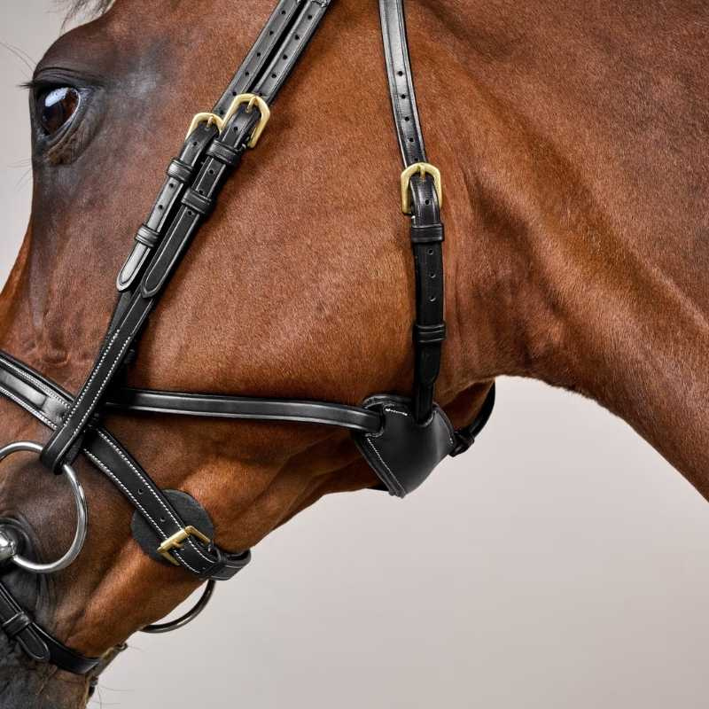 Bridle Difference Dyon Collection Black