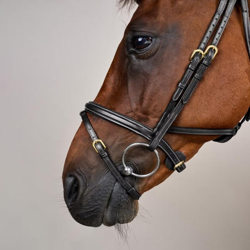 Bridle Difference Dyon Collection Black
