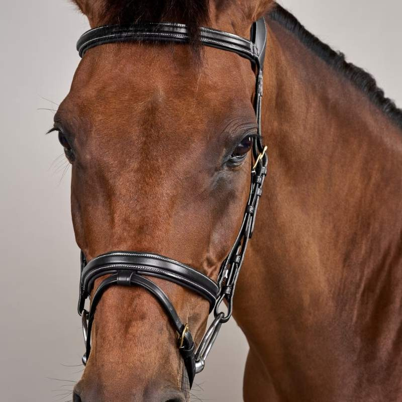 Bridle Difference Dyon Collection Black