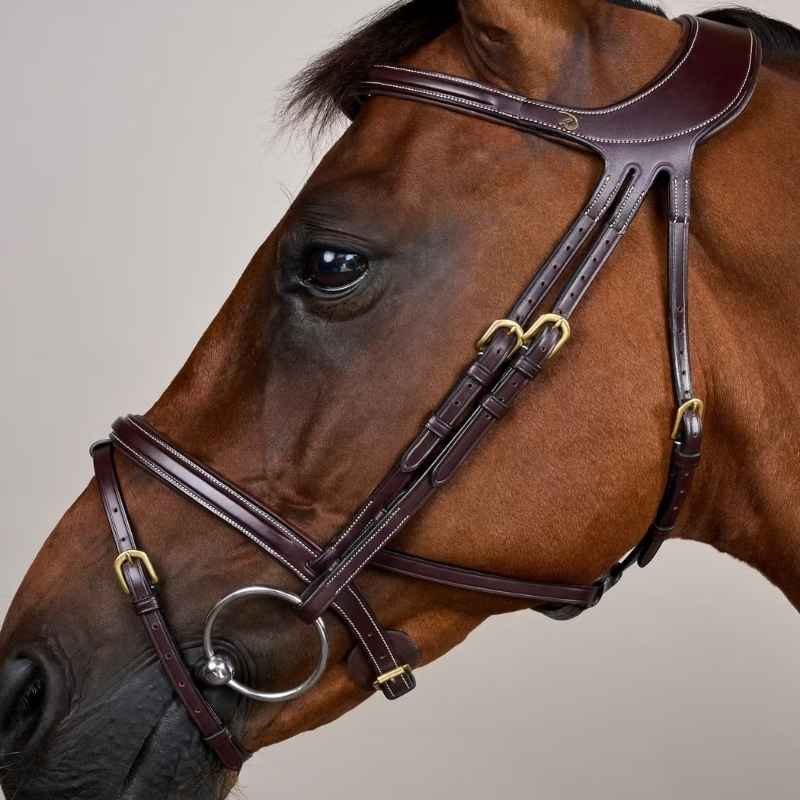 Bridle Difference Dyon Collection Brown