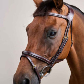 Bridle Difference Dyon Collection Brown Bridle Difference Dyon Collection Brown
