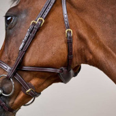 Bridle Difference Dyon Collection Brown Bridle Difference Dyon Collection Brown