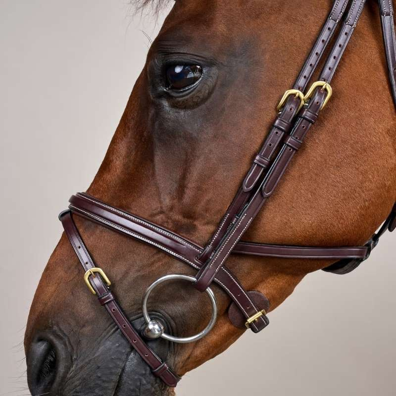 Bridle Difference Dyon Collection Brown