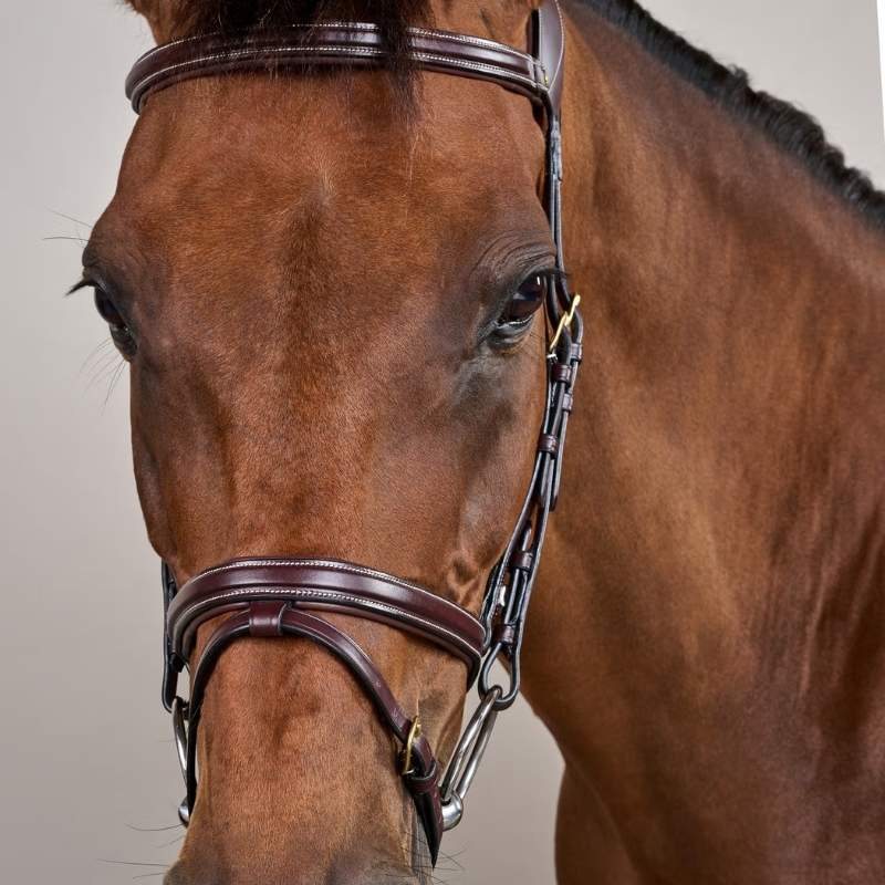 Bridle Difference Dyon Collection Brown
