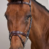 Bridle Difference Dyon Collection Brown Bridle Difference Dyon Collection Brown