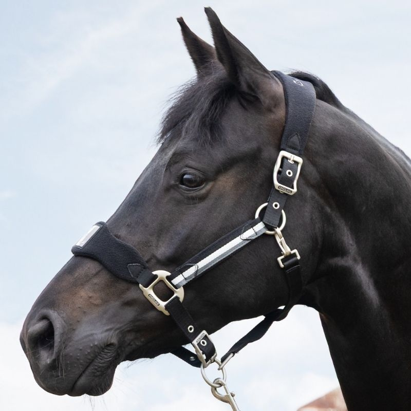 Halter Classic Fleece Black