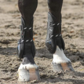 Tendon Boots Carbon Chic Black Tendon Boots Carbon Chic Black