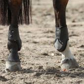 Fetlock Boots Carbon Chic Black Fetlock Boots Carbon Chic Black