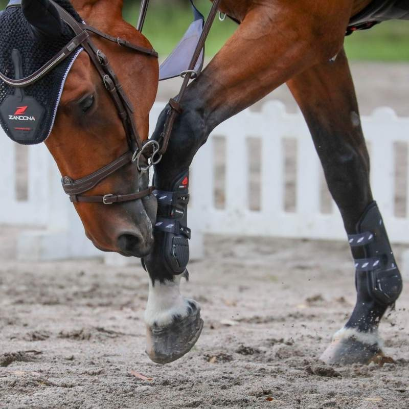 Tendon Boots Carbon Pro Black