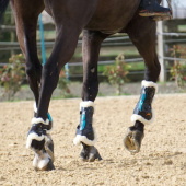 Tendon Boots eAirshock Fluffy Black Tendon Boots eAirshock Fluffy Black